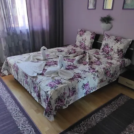 Violeta 7 Pensión 4*