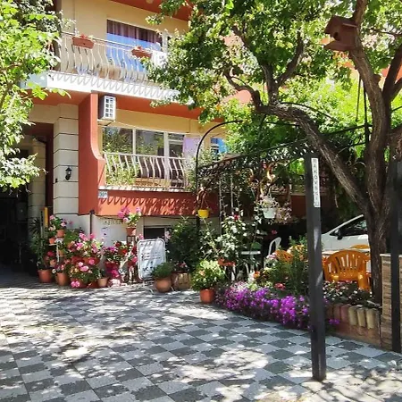 Violeta 7 4* Несебир