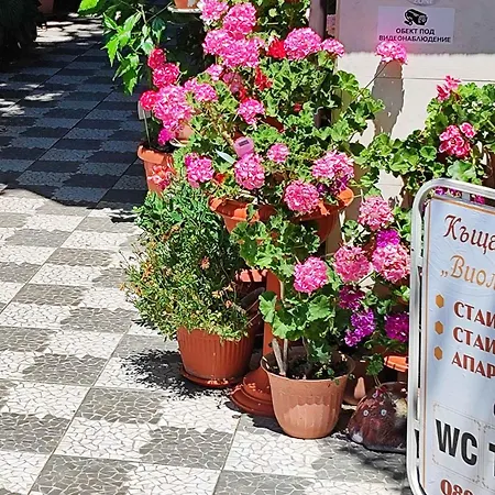 Гостьовий будинок Violeta 7