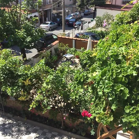 Violeta 7 4* Nesebar