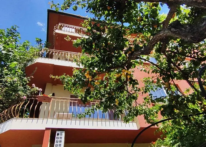 Violeta 7 Гостьовий будинок Несебир