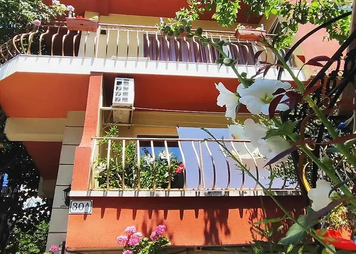 Violeta 7 Гостьовий будинок