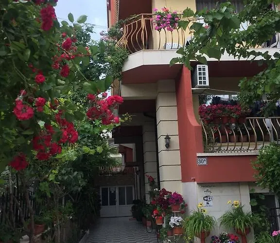 Violeta 7 4* Несебир