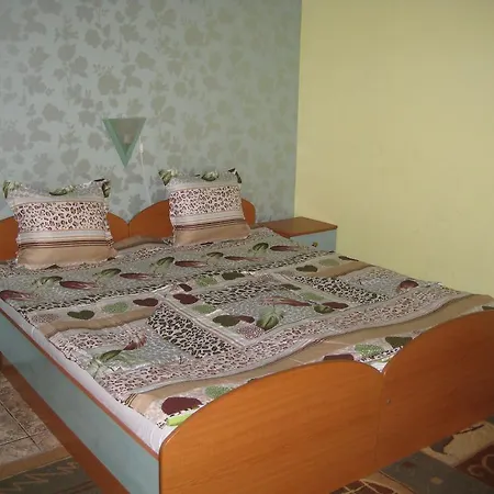 Guest house Violeta 7 4*
