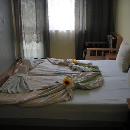 Violeta 7 Nesebar