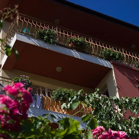 Maison d'hôtes Violeta 7