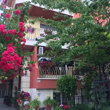 Maison d'hôtes Violeta 7