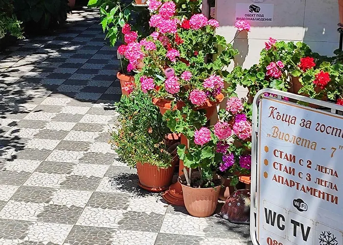 Guest house Violeta 7