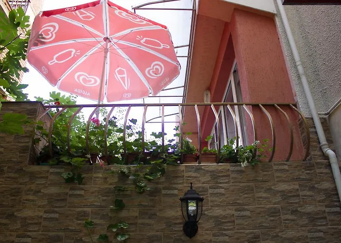 Violeta 7 Guest house 4*