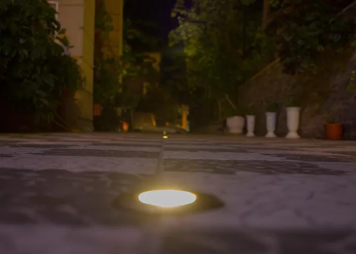 Guest house Violeta 7