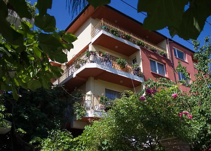 Violeta 7 Guest house 4*