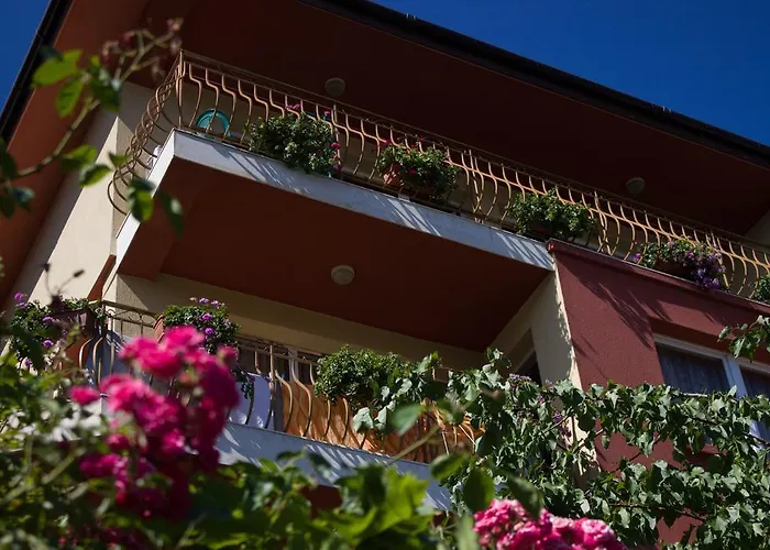 Guest house Violeta 7