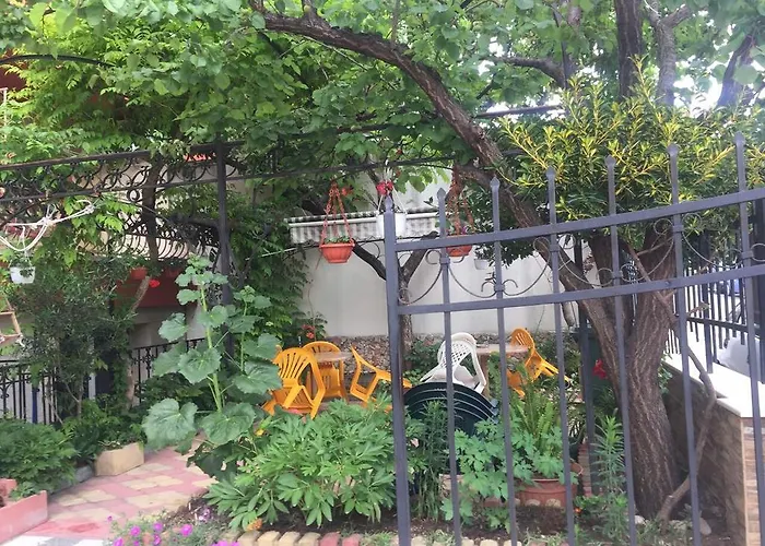 Guest house Violeta 7 4*