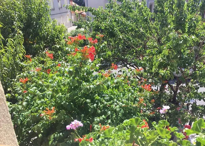 Violeta 7 Guest house